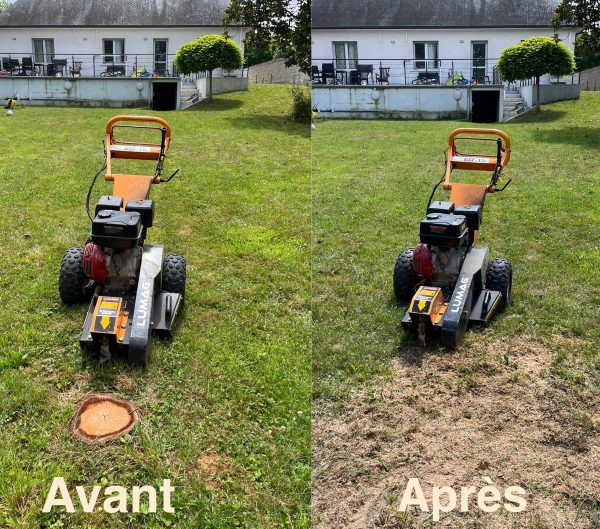 ROGNEUSE / GRIGNOTEUSE DE SOUCHE – Image 3