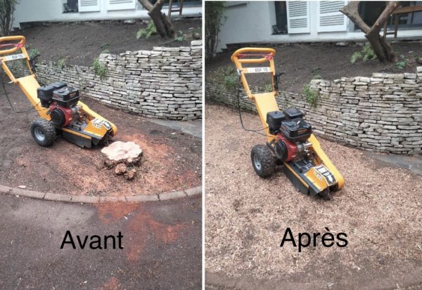 ROGNEUSE / GRIGNOTEUSE DE SOUCHE – Image 6