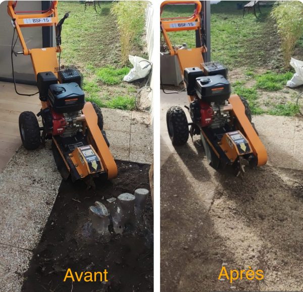 ROGNEUSE / GRIGNOTEUSE DE SOUCHE – Image 5