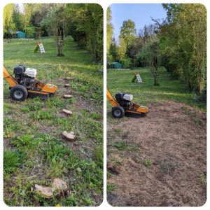 ROGNEUSE / GRIGNOTEUSE DE SOUCHE